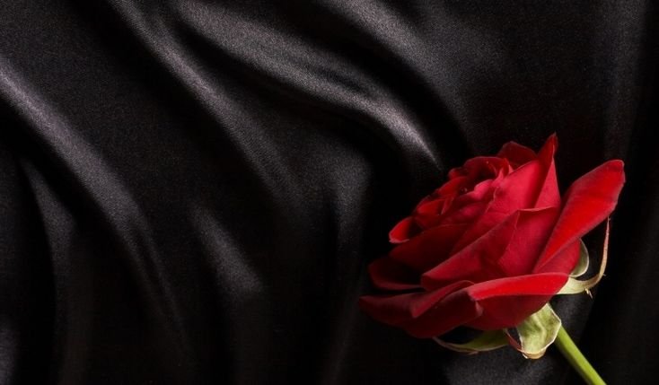 Красивые розы на черном фоне