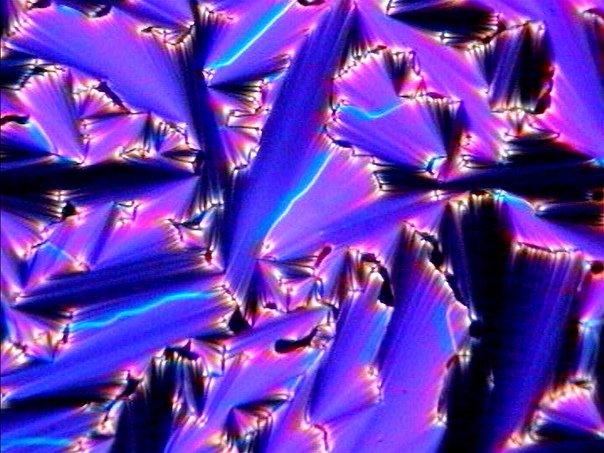 Нематические жидкие Кристаллы под микроскопом