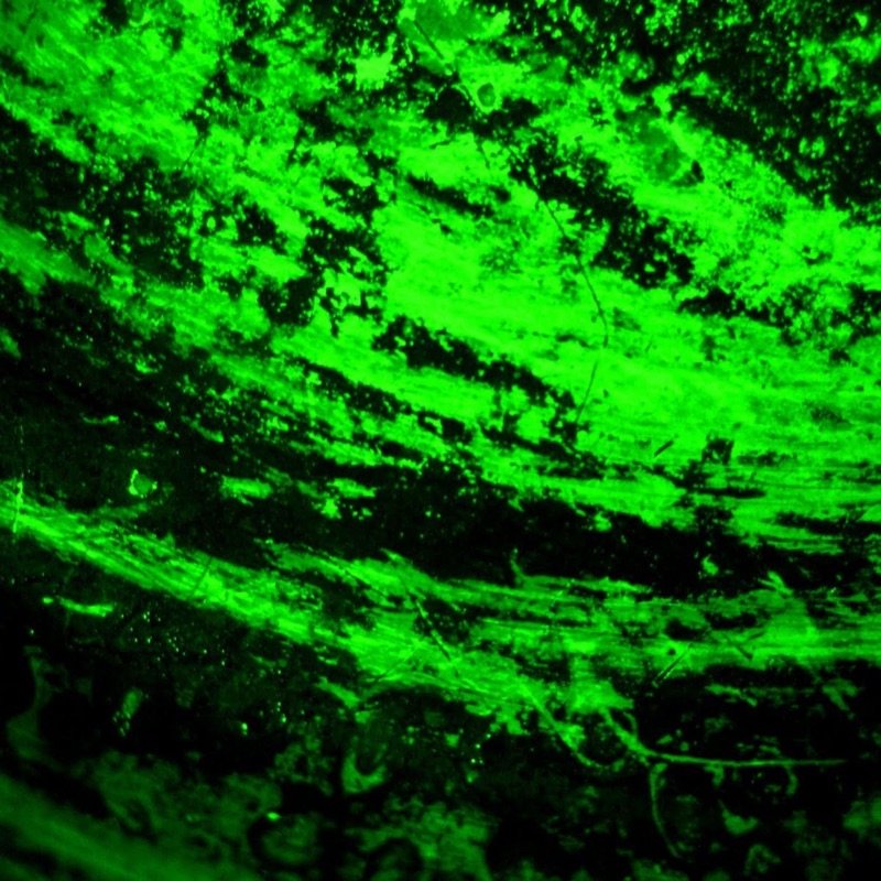 Зеленый цвет