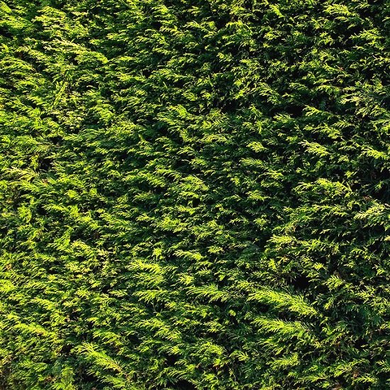 Бесшовные текстуры