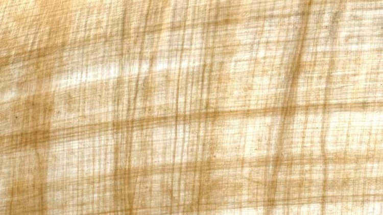 Папирус фон