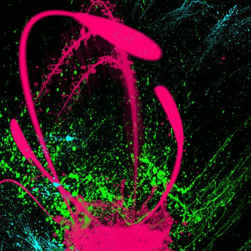 Неоновая революция арт