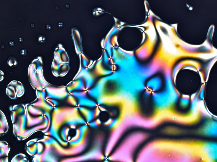 Лиотропные жидкие Кристаллы