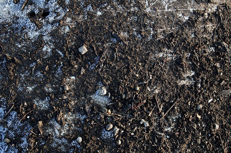 Текстура земли