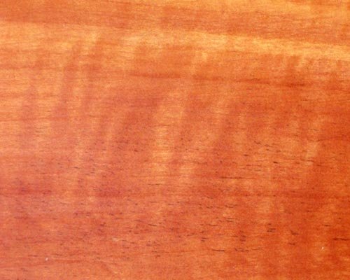 Цвет дерева груша