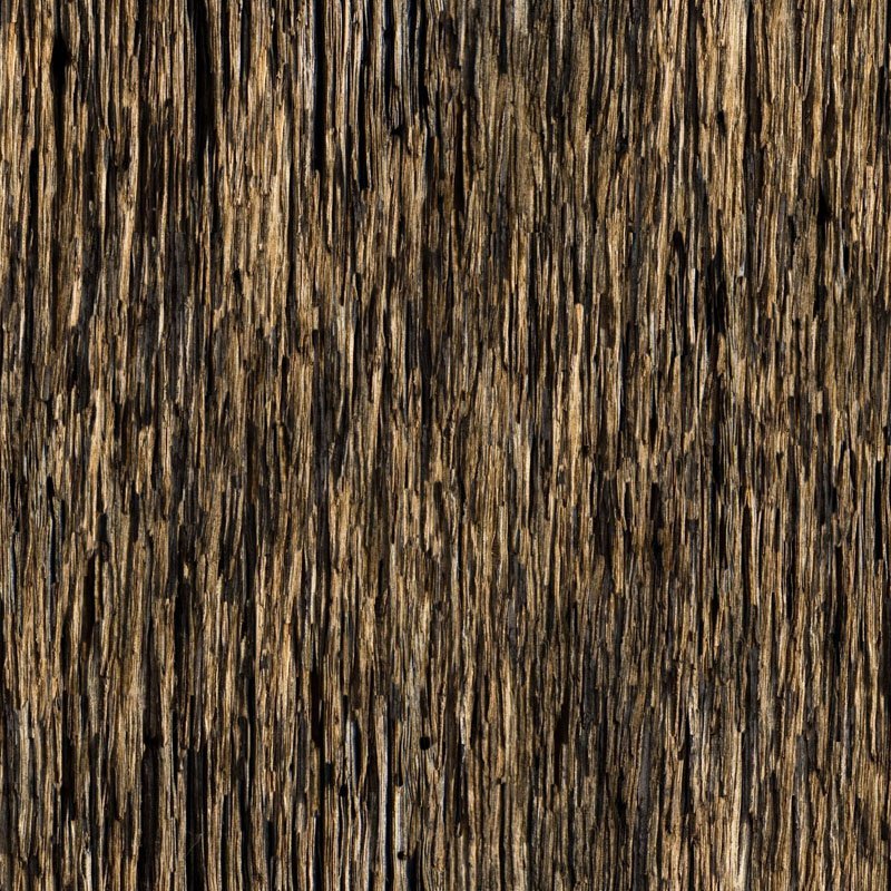 Текстура коры дерева