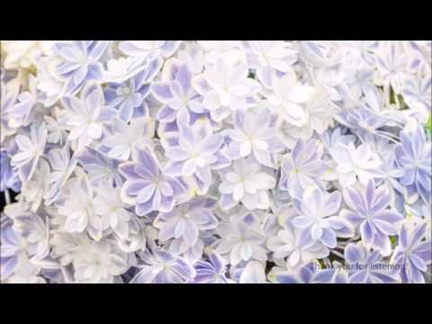 Фактура цветы