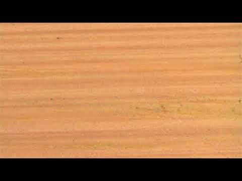 Древесина дикой груши