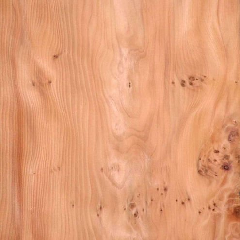 Тис древесина текстура