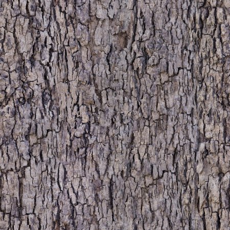 Кора текстура бесшовная