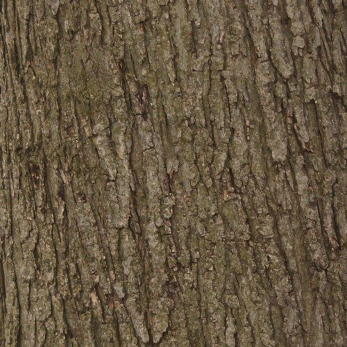 Текстура дерева для Blender