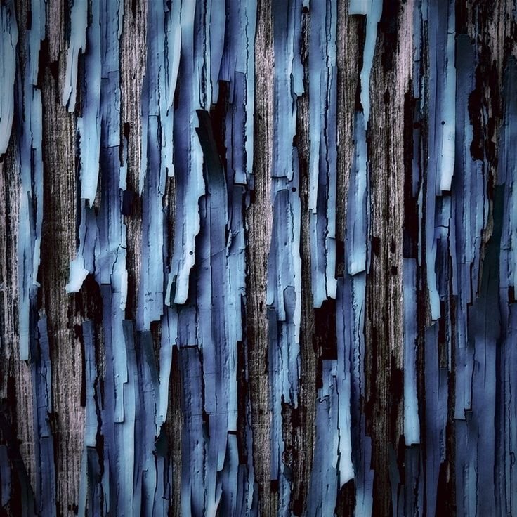 Фактура дерева