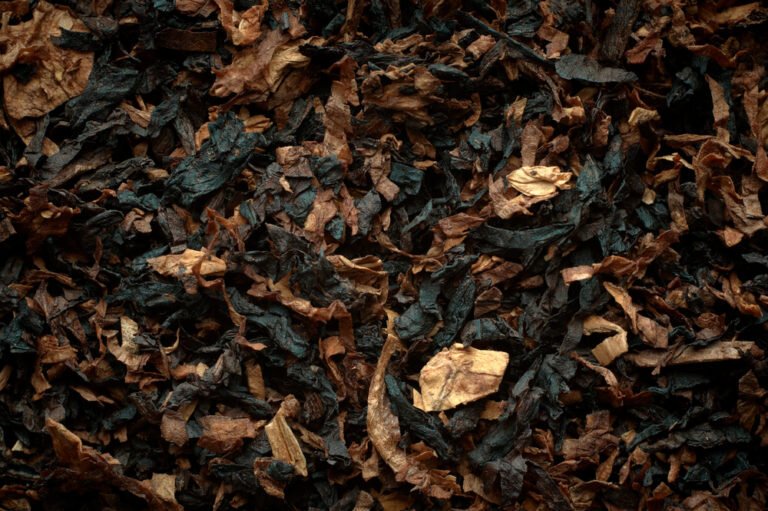 Табачный лист