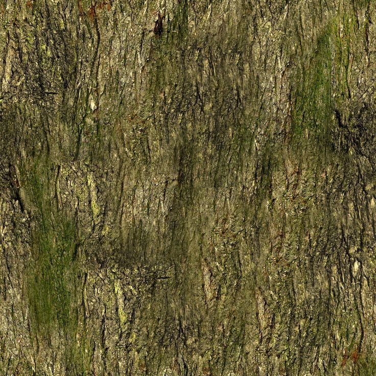 Дерево 3ds Max бесшовная