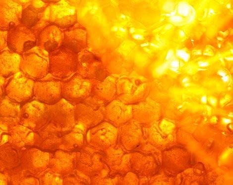 Фон соты медовые