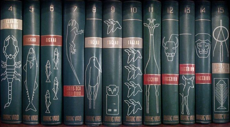 Красивые корешки книг