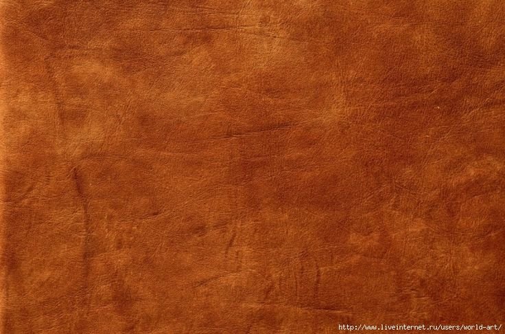 Текстура кожи
