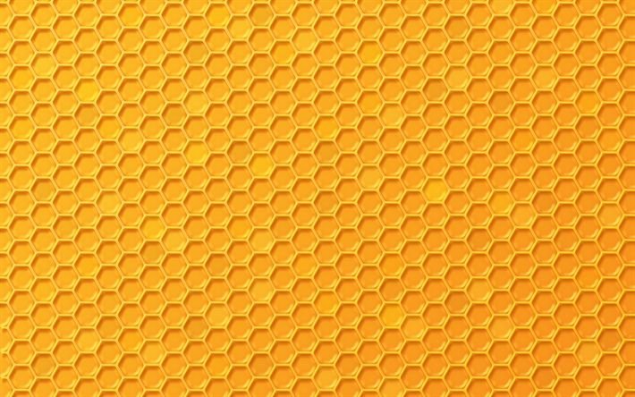 Соты пчелиные