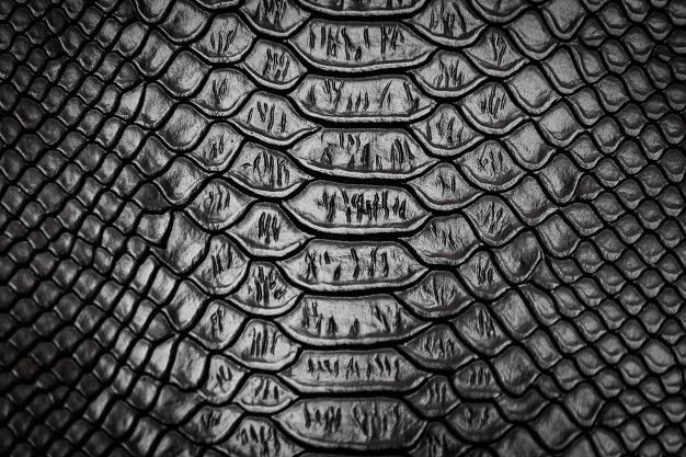 Чешуя Блэк мамбы