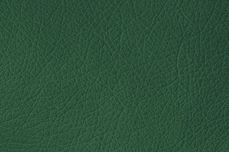 Темно зеленая кожа