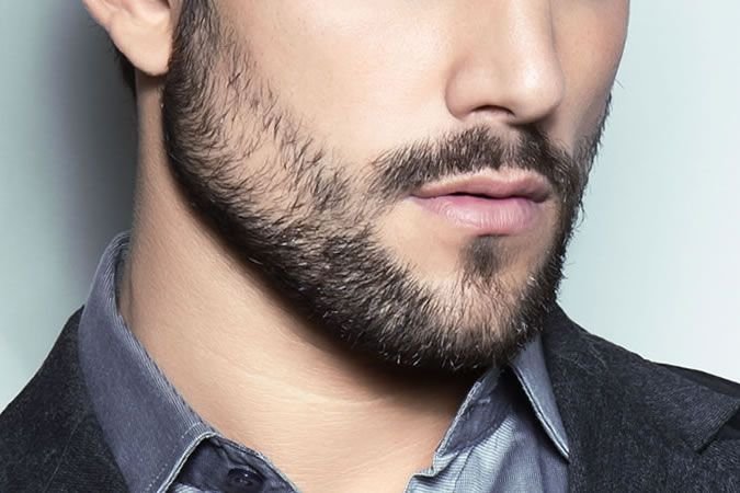 Борода Верди