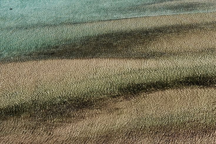 Текстура земли с травой