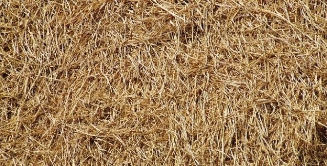 Солома материал