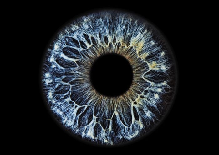 Радужка глаза Альфа