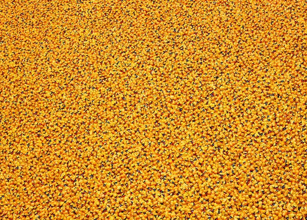 Оранжевый песок