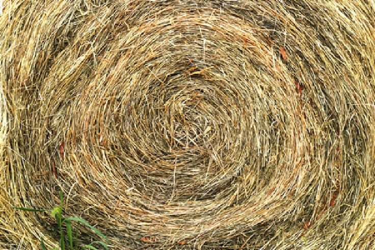 Сено фактура