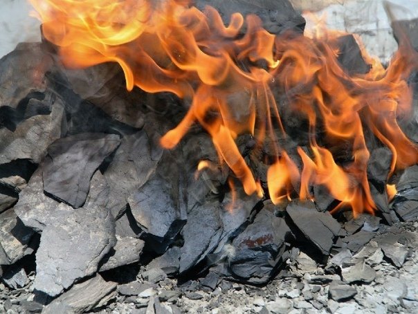 Битуминозные и горючие сланцы