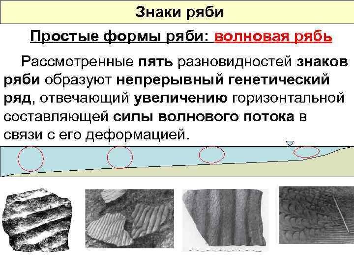 Знаки ряби на поверхности осадочных пород