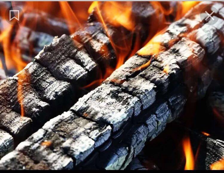 Обугленное полено