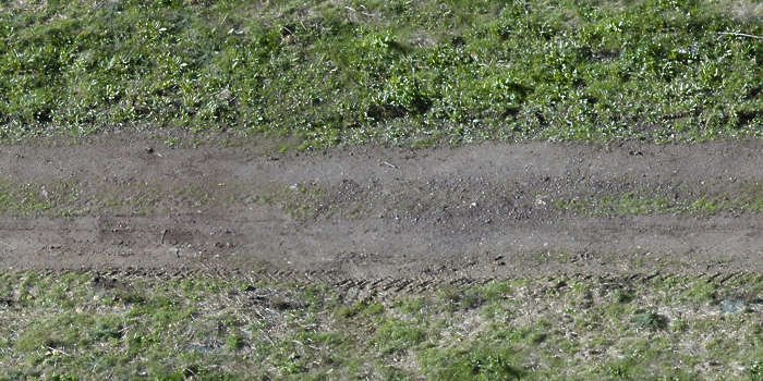 Текстура проселочной дороги