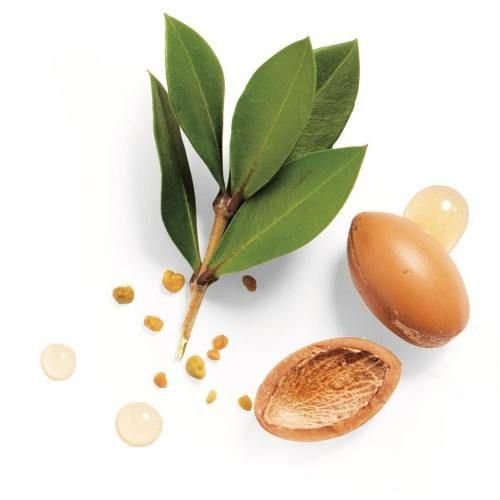 Листья аргании