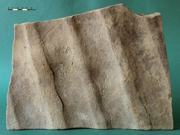 Мелкозернистый песчаник со знаками ряби