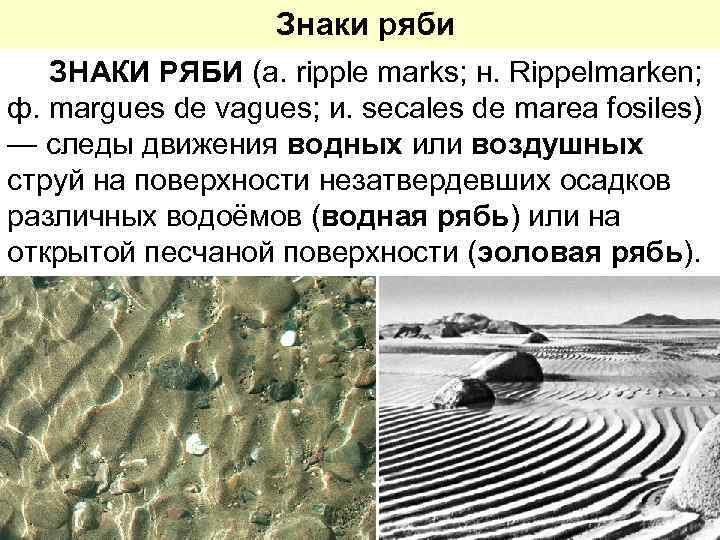Знаки ряби Геология