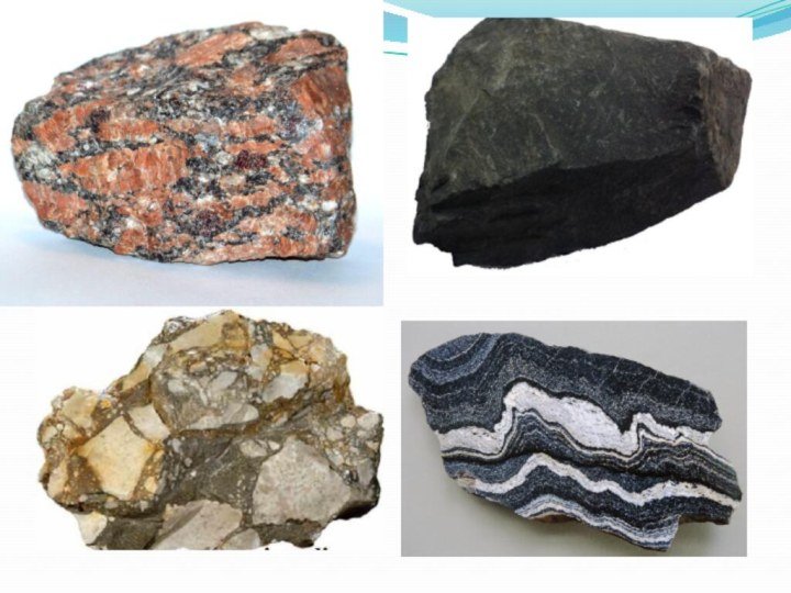 Пайдалы казбалар фото