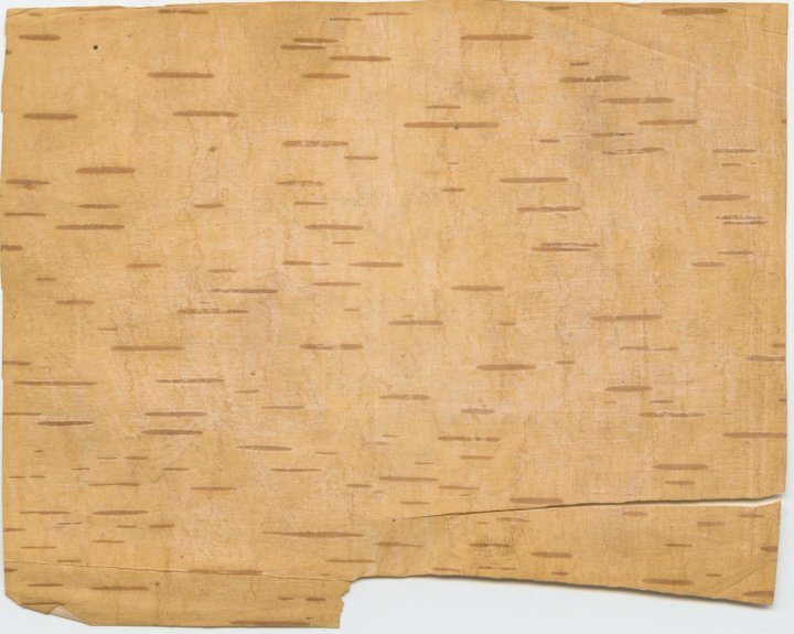 Фон береста Берёзовая кора