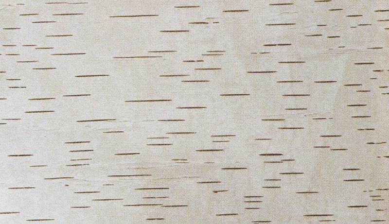 Фон береста Берёзовая кора