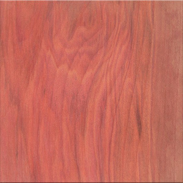 Цвет испанский орех