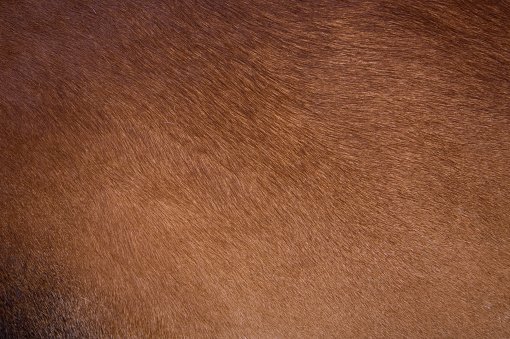 Коричневая шерсть текстура