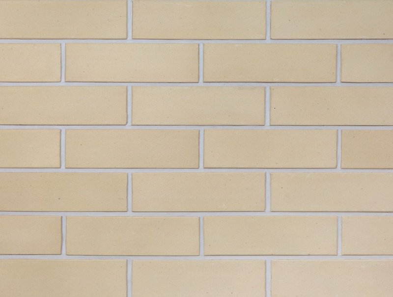 Тербунский Гончар золотистый