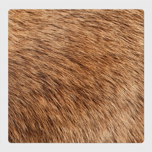 Шерсть животных