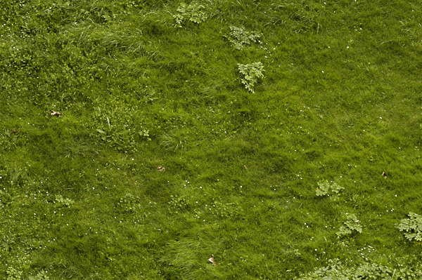 Грунт текстура