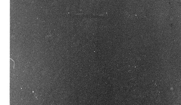 Скан пленочного зерна Ilford Delta 400pr