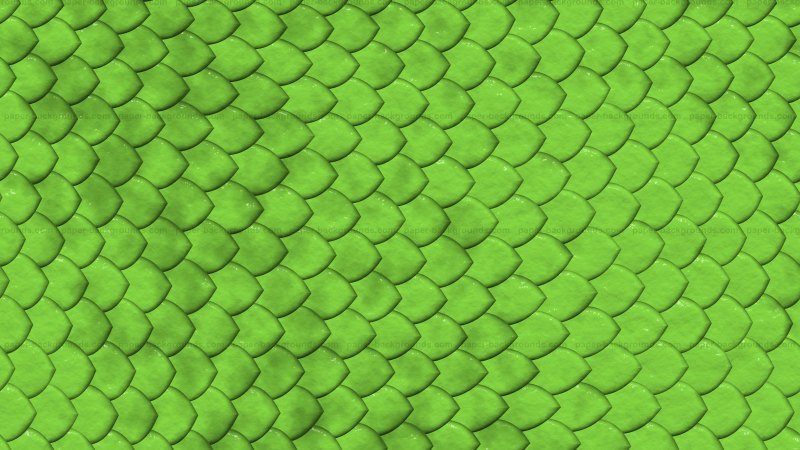 Змеиная чешуя Альфа