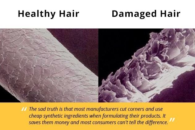 Волос под микроскопом