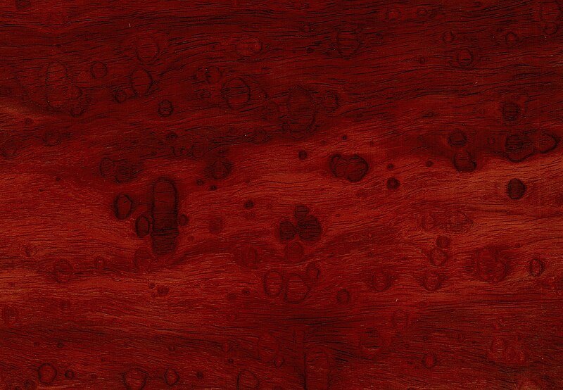 Красное дерево махагон