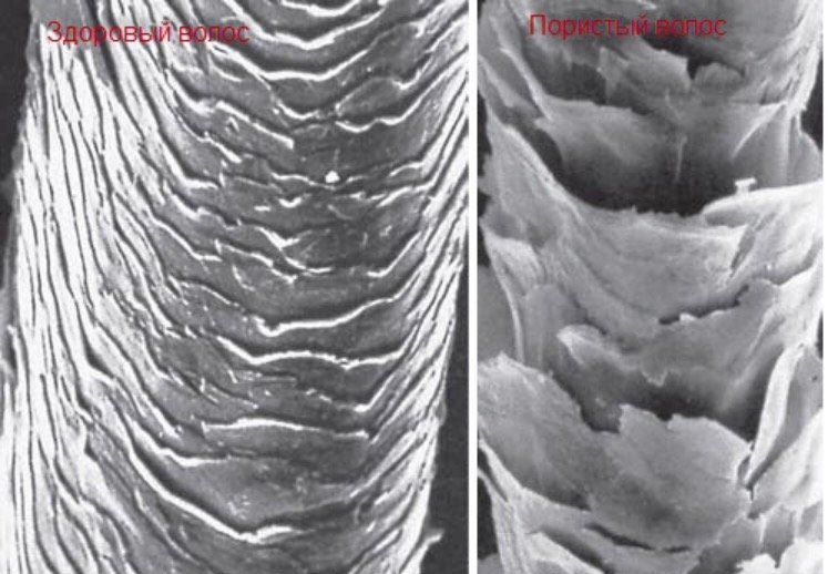 Пористая структура волос